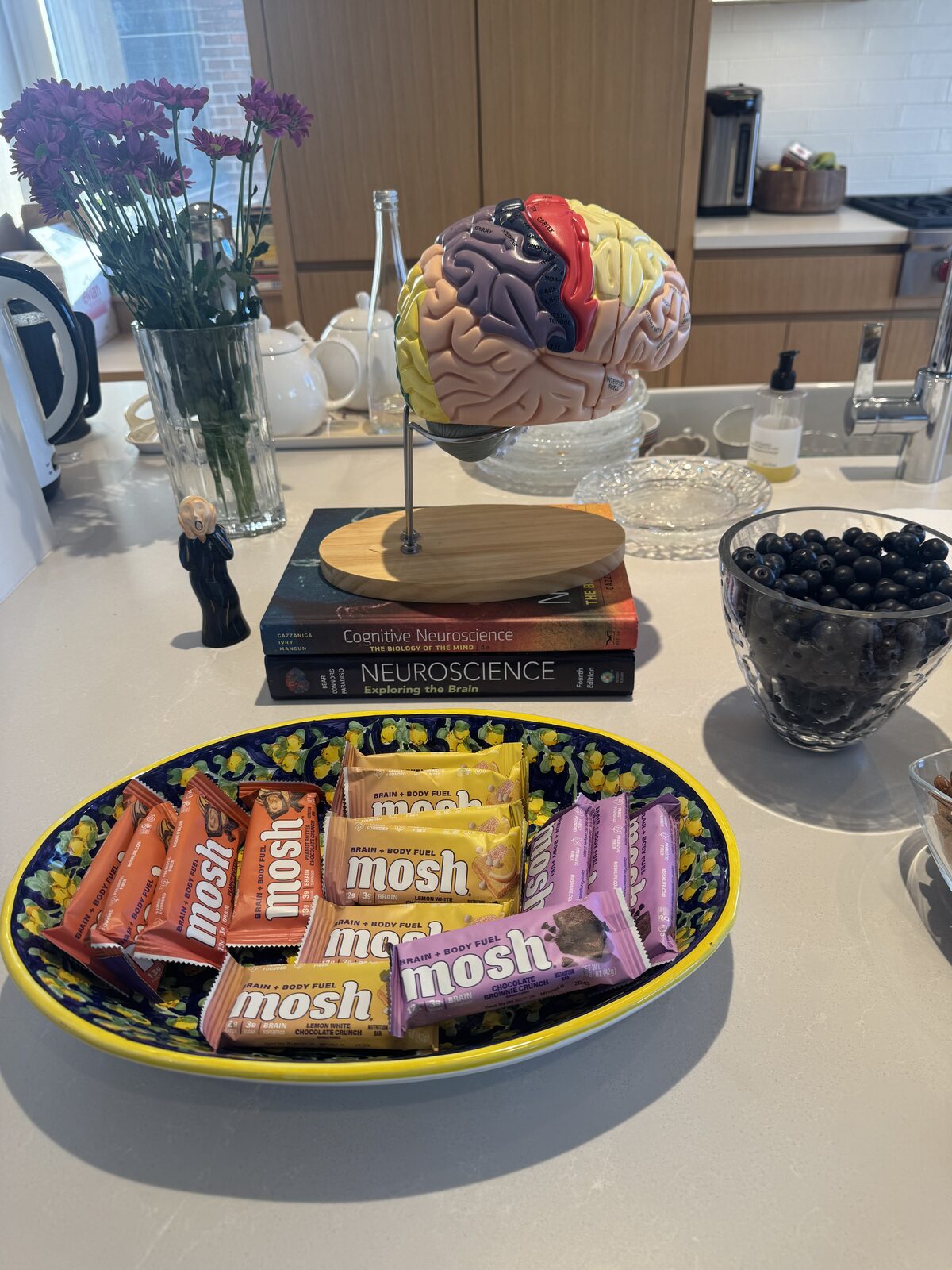 A colorful anatomical brain model on a stand resting on neuroscience textbooks beside a bowl of Mosh brain-and-body snack bars, with a vase of purple flowers behind